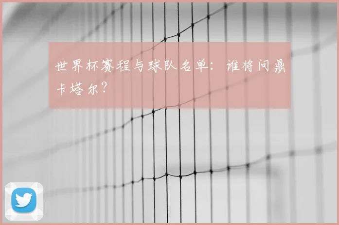 世界杯赛程与球队名单：谁将问鼎卡塔尔？