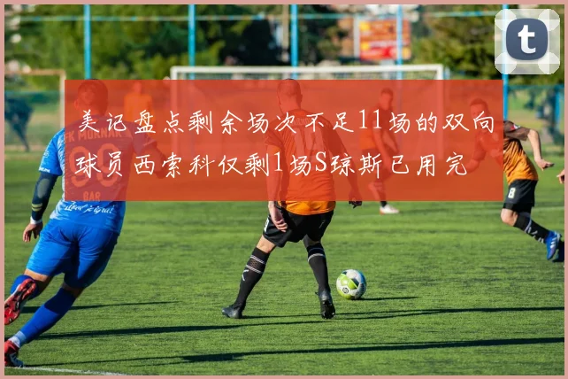 美记盘点剩余场次不足11场的双向球员西索科仅剩1场S琼斯已用完