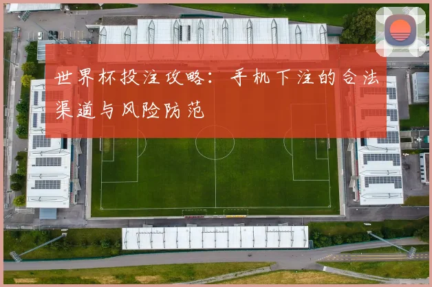 世界杯投注攻略：手机下注的合法渠道与风险防范