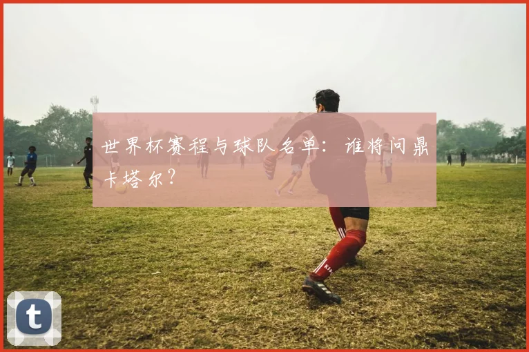世界杯赛程与球队名单:谁将问鼎卡塔尔?