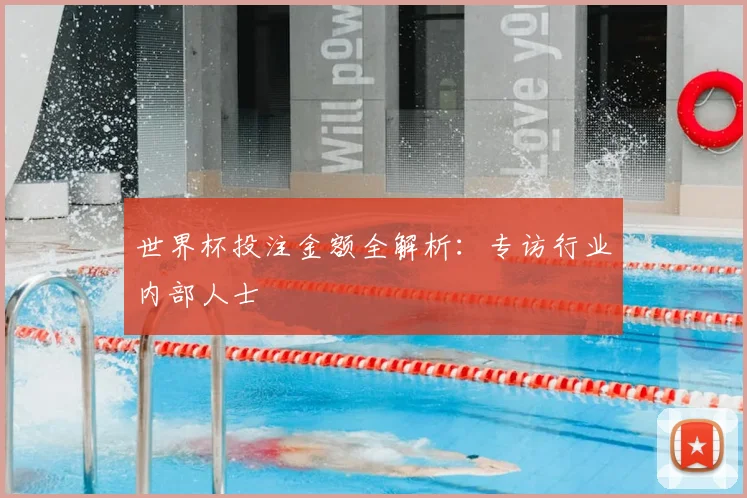 世界杯投注金额全解析:专访行业内部人士