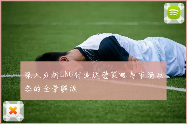 深入分析LNG行业运营策略与市场动态的全景解读