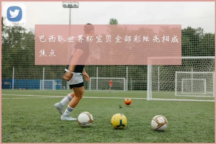 巴西队世界杯宝贝全部彩绘亮相成焦点