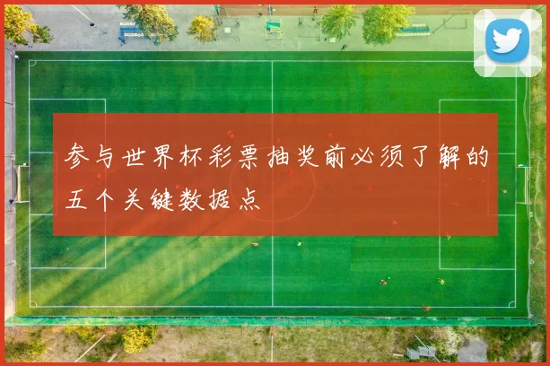 参与世界杯彩票抽奖前必须了解的五个关键数据点