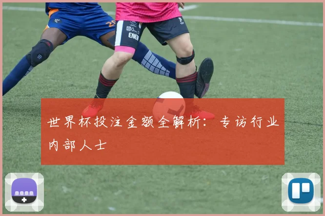 世界杯投注金额全解析:专访行业内部人士