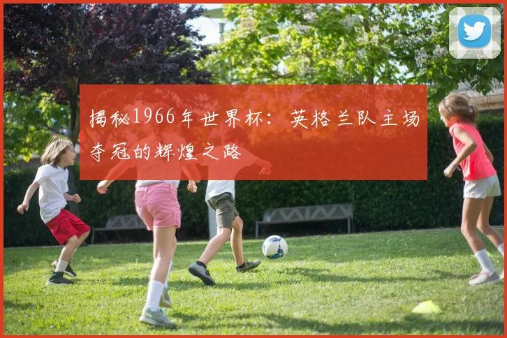 揭秘1966年世界杯：英格兰队主场夺冠的辉煌之路