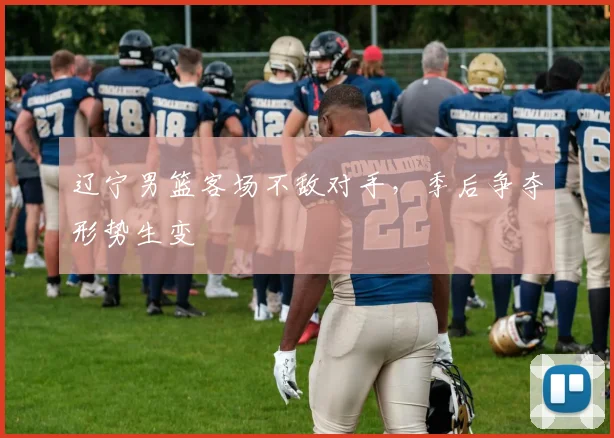 辽宁男篮客场不敌对手，季后争夺形势生变