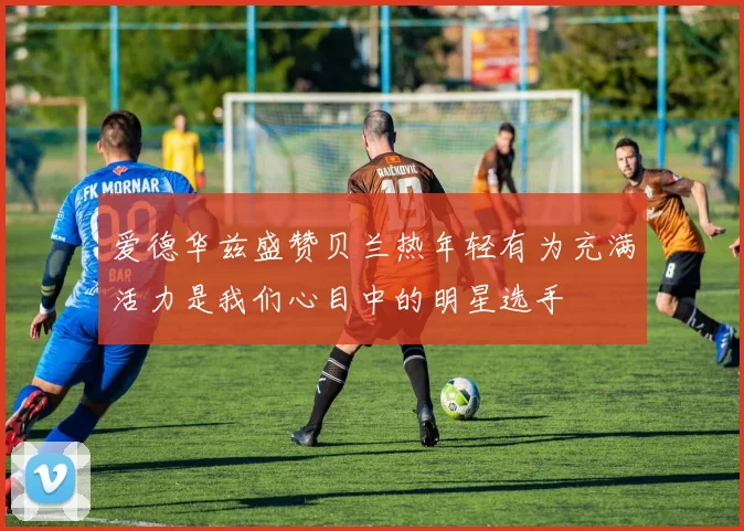 爱德华兹盛赞贝兰热年轻有为充满活力是我们心目中的明星选手