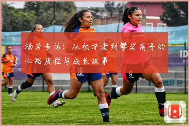 杨芳专访:从初学者到攀岩高手的心路历程与成长故事